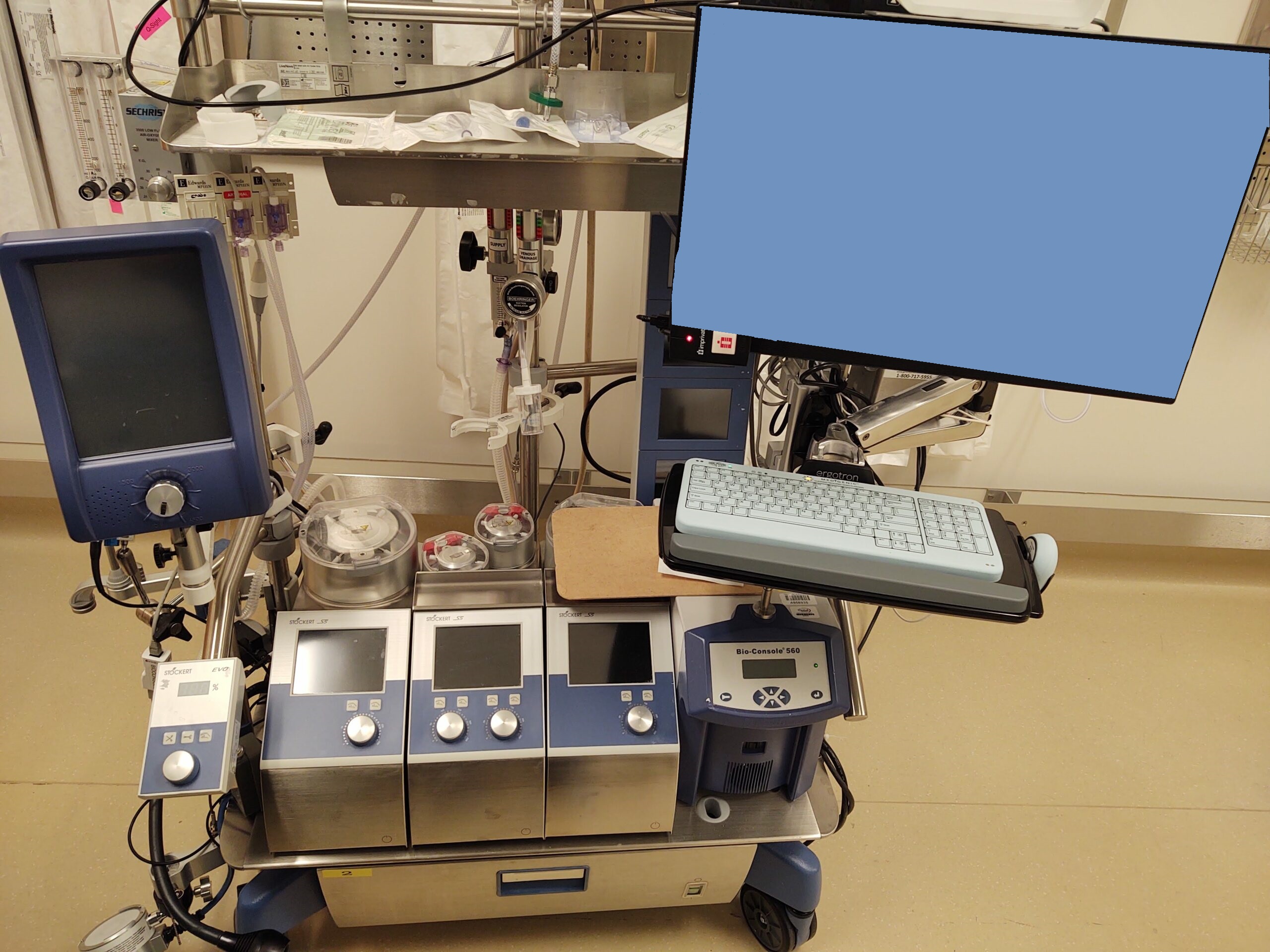 IMG_20210805_181824142-scaled